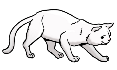 Comic: Eine große weiße Katze läuft von links nach rechts durchs Bild.