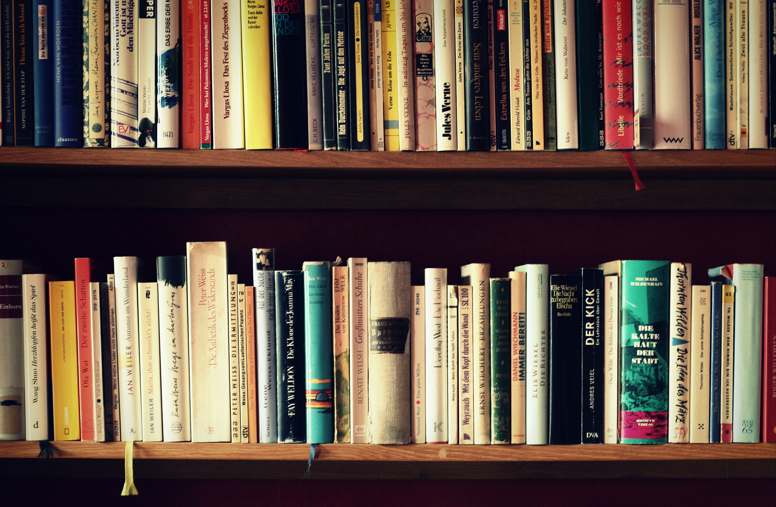 Foto: Ein Bücherregal mit mehreren Buchrücken.